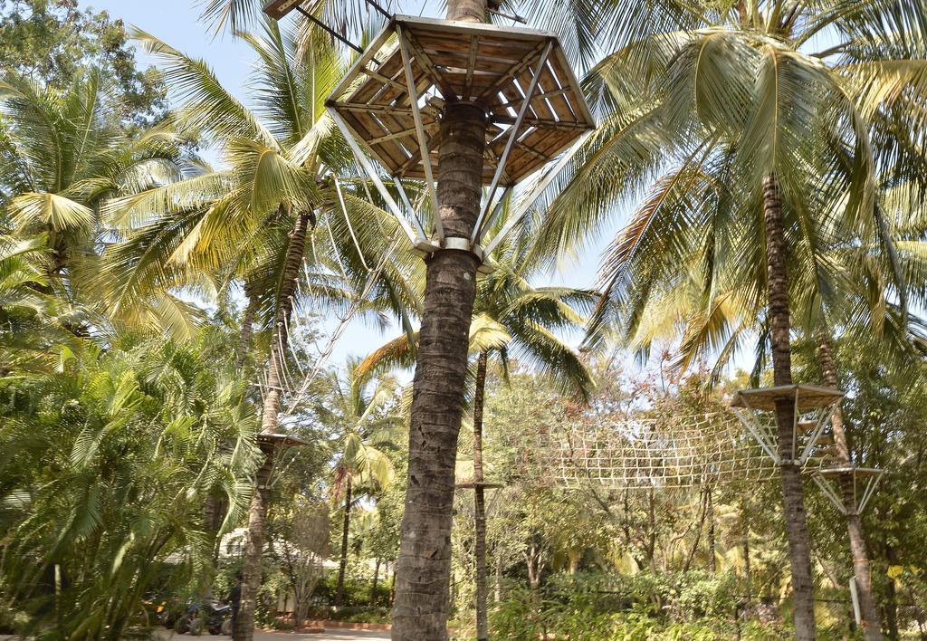 The Windflower Prakruthi Resorts