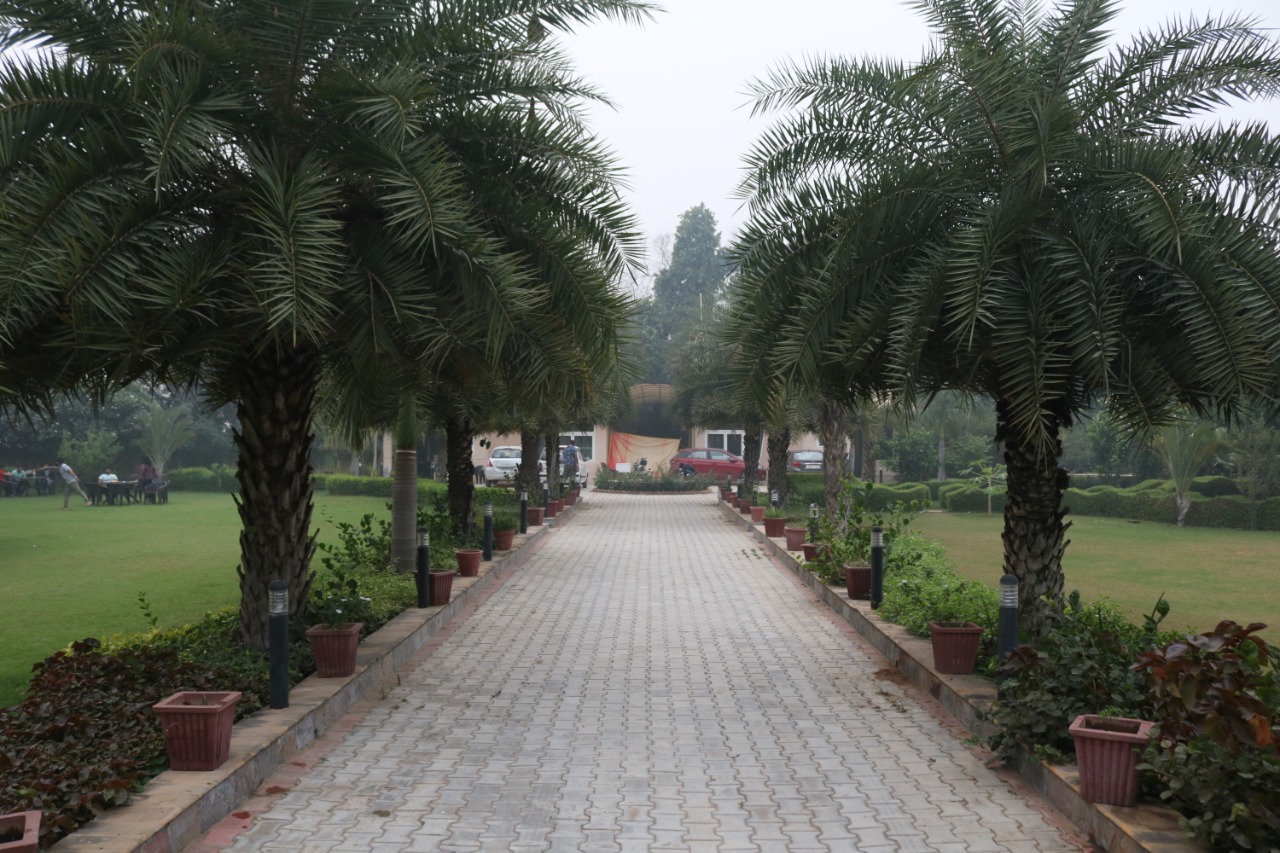 Resort Inn