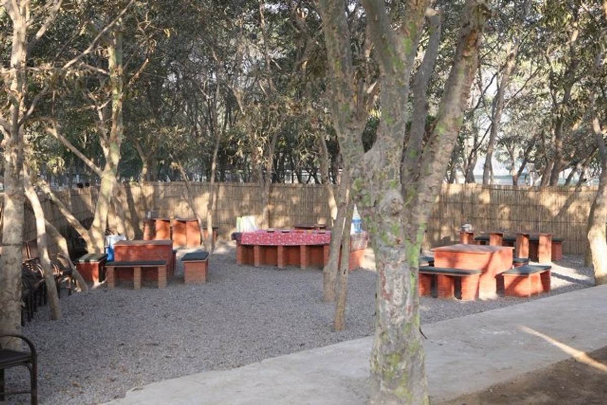 Roots - Cafe in the Park, Gurugram Roots - Cafe in the Park, Gurugram