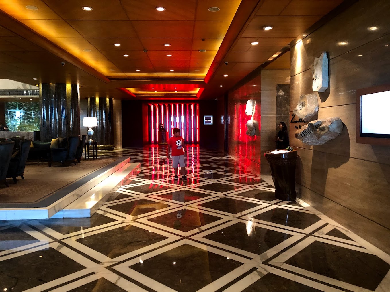 The Leela Ambience