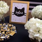 Cat Theme Birthday Party Decoration 4