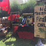 Pirate Theme Birthday Party Venue 5