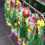 Tropical Theme Birthday Party Decoration