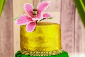 Rainforest Theme Birthday Party Cake 2