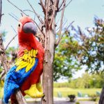 Rainforest Theme Birthday Party Decoration 3