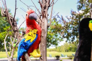Rainforest Theme Birthday Party Decoration 3