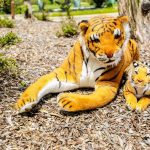 Rainforest Theme Birthday Party Decoration 4