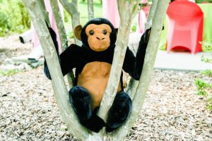 Rainforest Theme Birthday Party Decoration 6