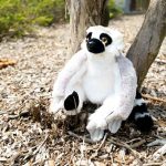 Rainforest Theme Birthday Party Decoration 7