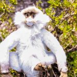 Rainforest Theme Birthday Party Decoration 8