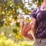 Rainforest Theme Birthday Party Real Animals